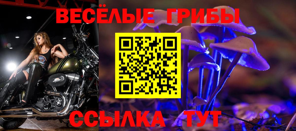 Владимир  Псилоцибиновые грибы GOLDEN TEACHER  Вход с VPN 
