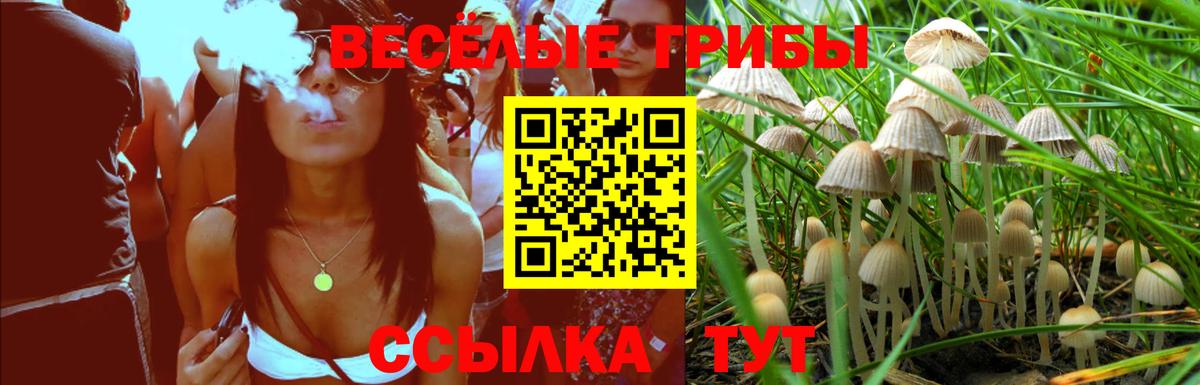 Гашиш Владимир